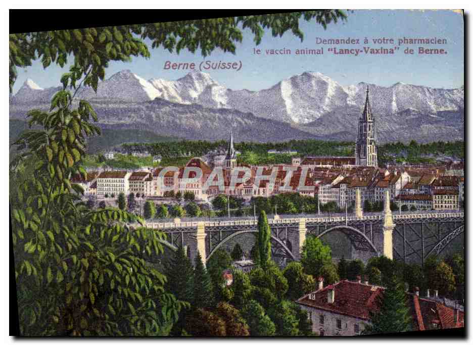 CPA Berne Publicite Institut Vaccinal suisse Berne