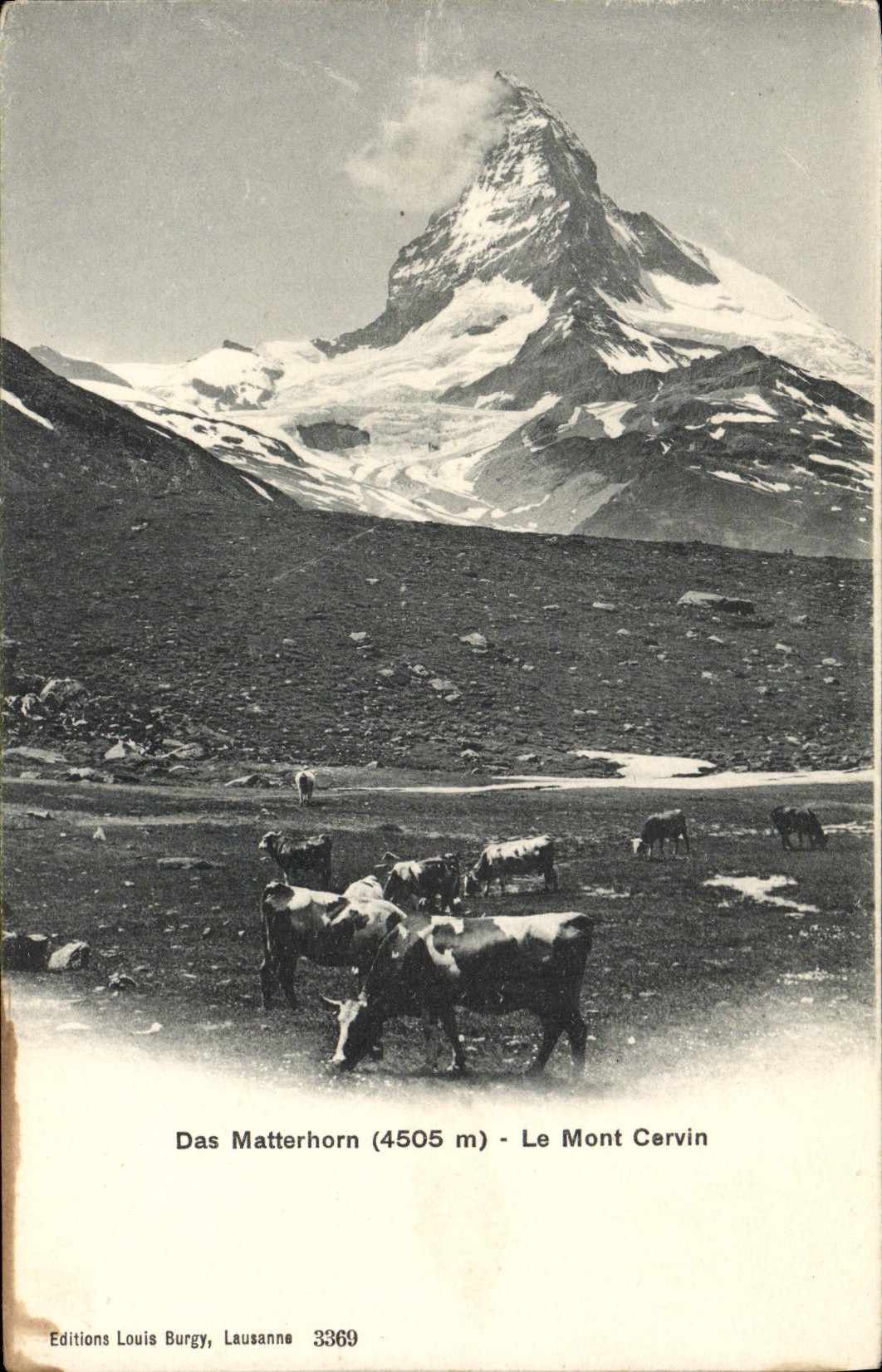 CPA Das Matterhorn Le Mont Cervin Vaches