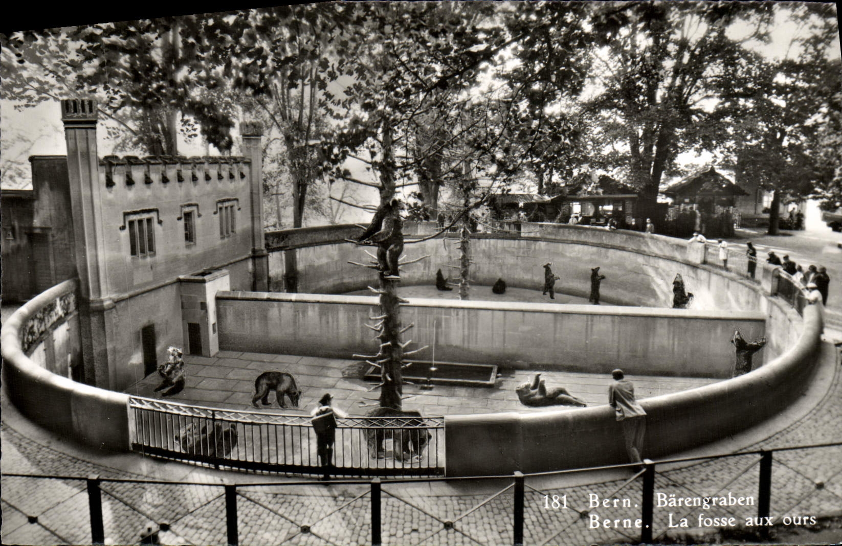 CPM Bern Barengraben Berne La Fosse Aux Ours