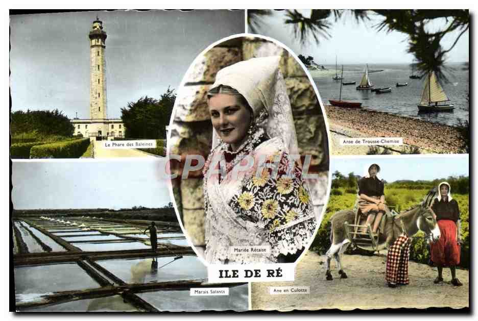 CPM Ile De Re Phare des baleines Ane Mule Anse de Trousse Chemise Marais salants