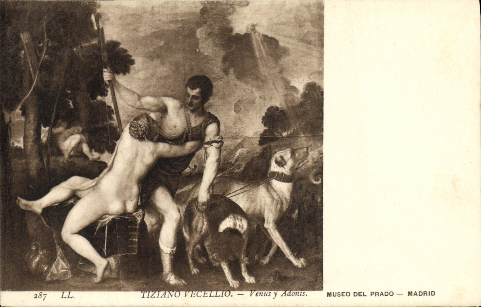 CPA Tiziano Vecellio Venus y Adonis Museo Del Prado Madrid Chiens Chien