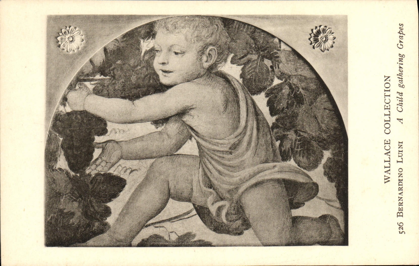 CPA Wallace Collection Bernardino Luini A child gathering grapes