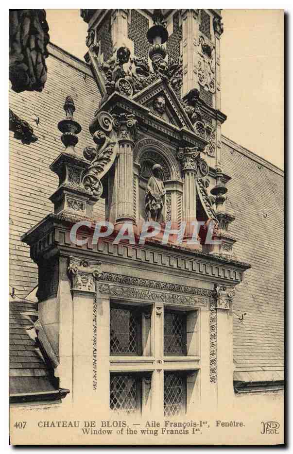 CPA Chateau De Blois Alle Francois 1er Fenetre 