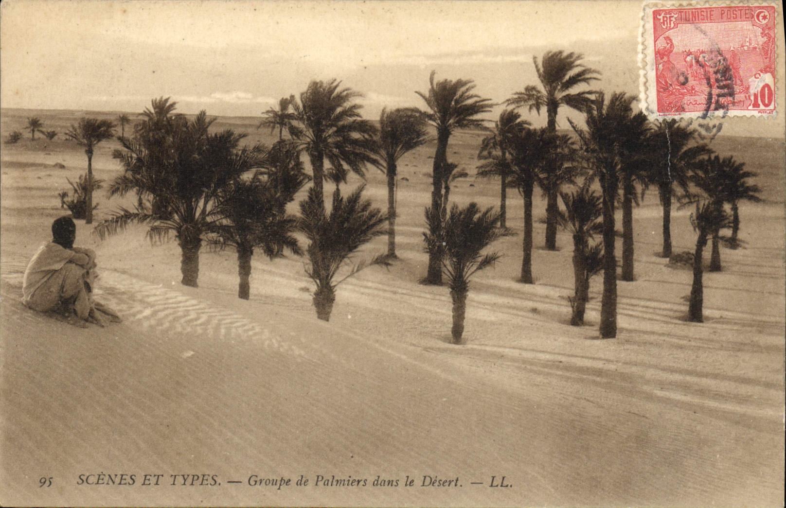 CPA Scenes Et Types Groupe De Palmiers Dans Le Desert Tunisie