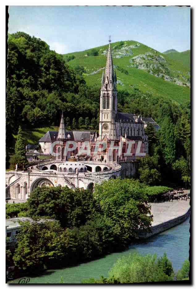 CPM Lourdes Le Gave Et La Basilique
