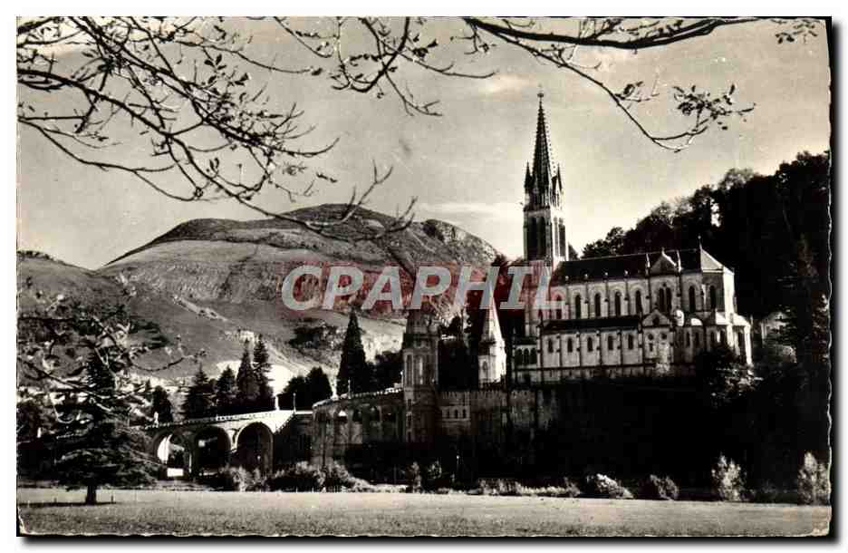CPM Lourdes La Basilique Vue De L'Autre Cote Du Gave