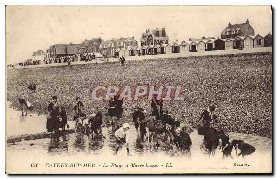 CPA Cayeux Sur Mer La Plage a Maree Enfants