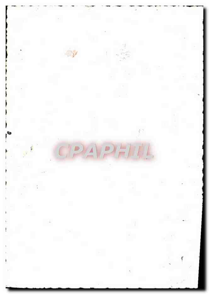 Photo Chateau — Back