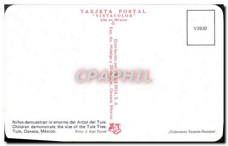 CPM Mexico Ninos demuestran lo Enorme del Arbol del Tule — Rückseite