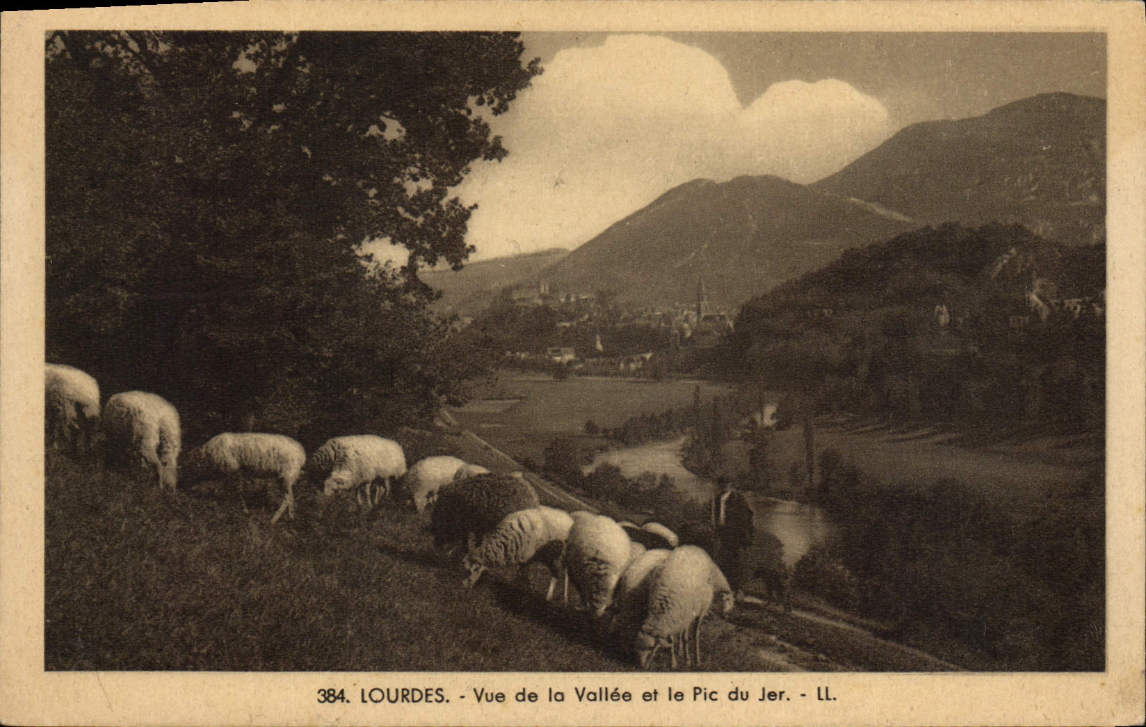 CPA Lourdes Vue de la Vallee et le Pic du Jer Moutons 