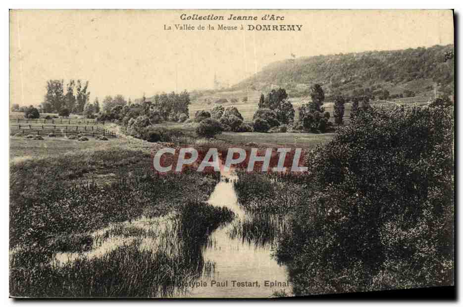 CPA Domremy La vallee de la Meuse 