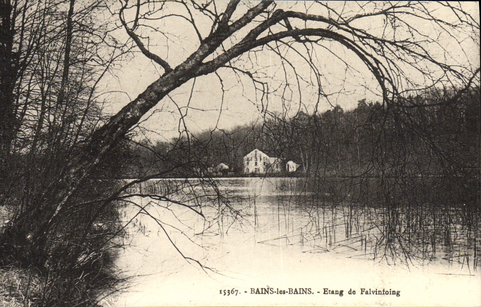 BAINS-les-BAINS — Etang de Falvintoing — Édition Vejux, Bains-les-Bains, n° 15367