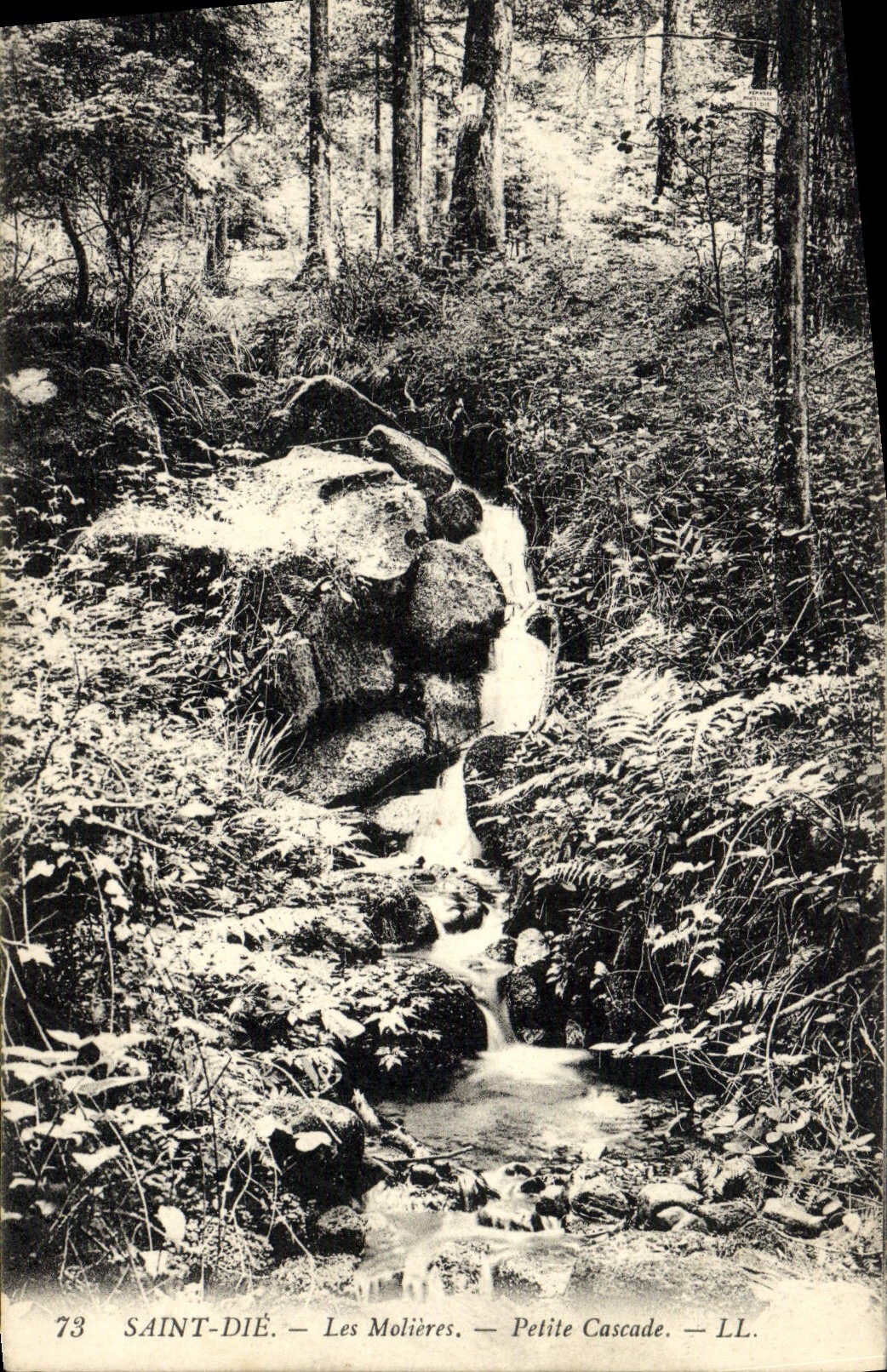 CPA St Die Les Molieres Petite cascade