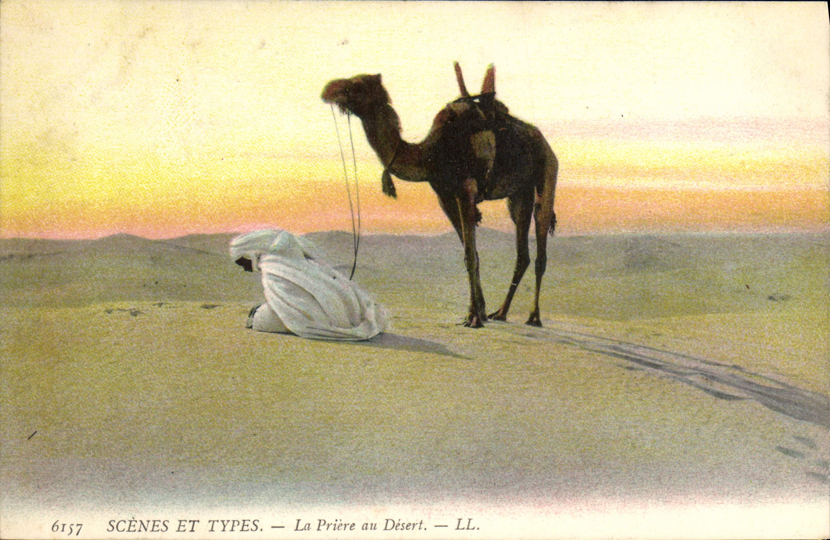 CPA Scenes Et Types La Priere au Desert Chameau