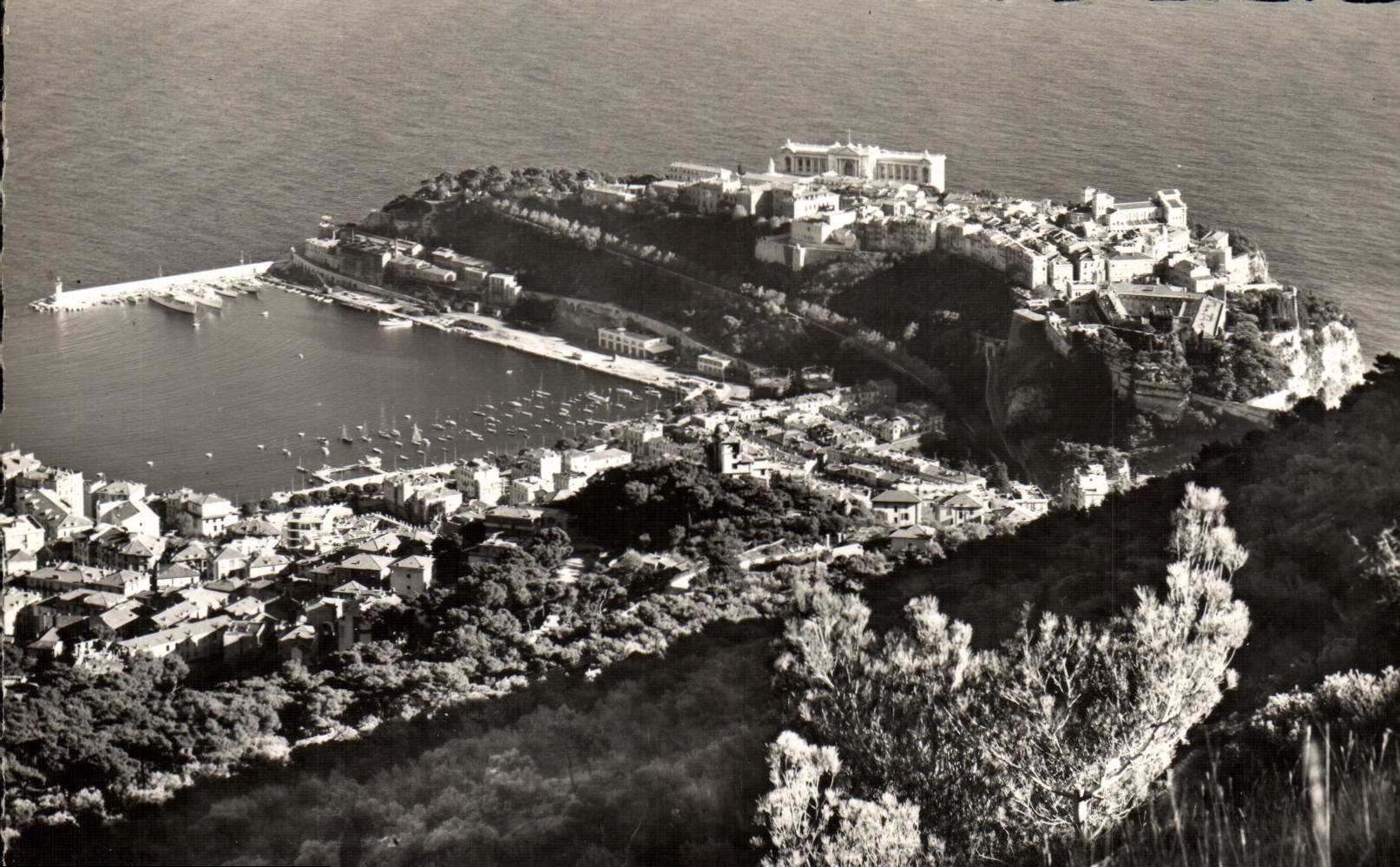 CPM Monaco Vue Sur le Port et le Rocher 