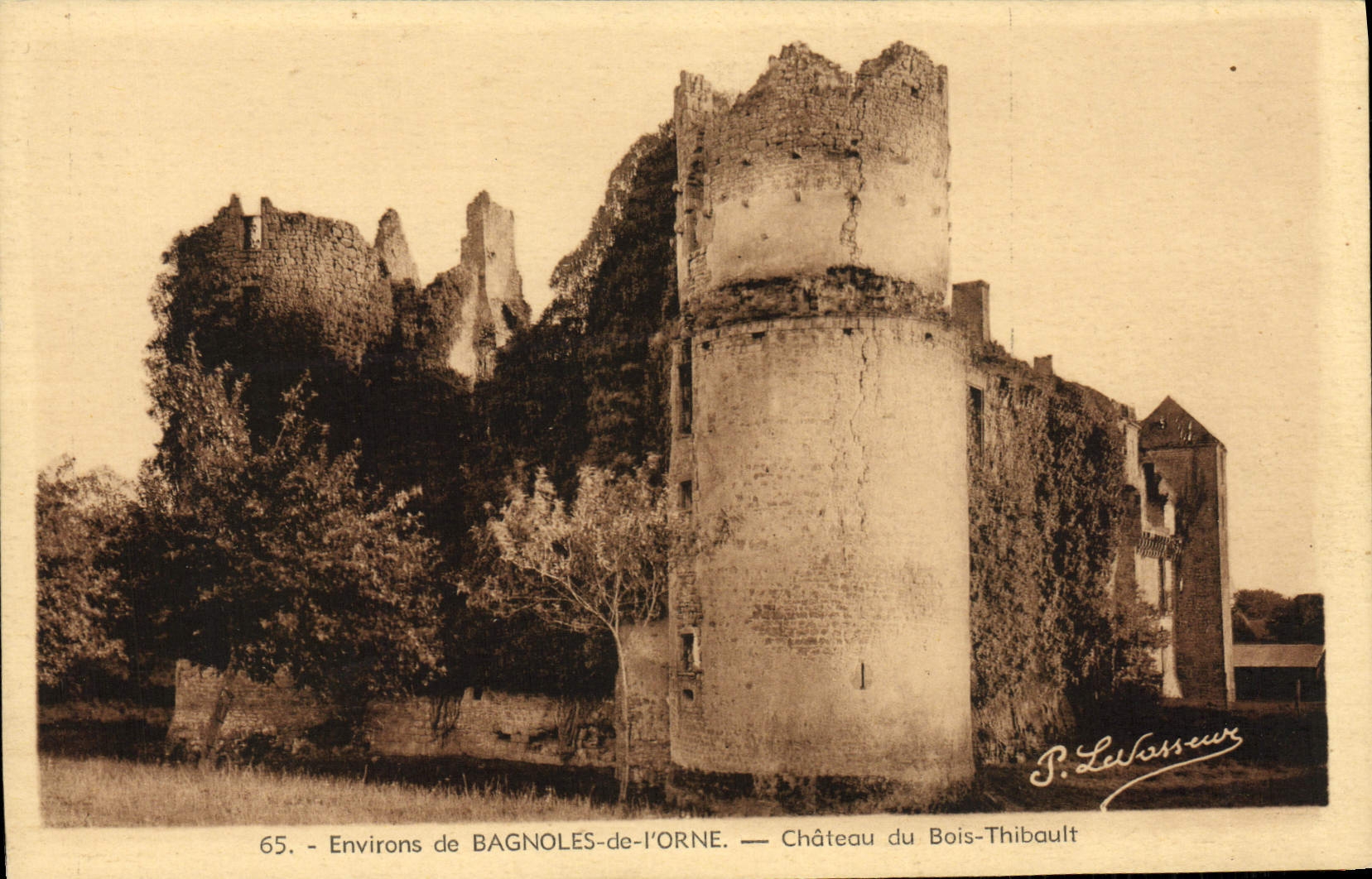 CPA Environs de Bagnoles de L'Orne Chateau du Bois Thibault