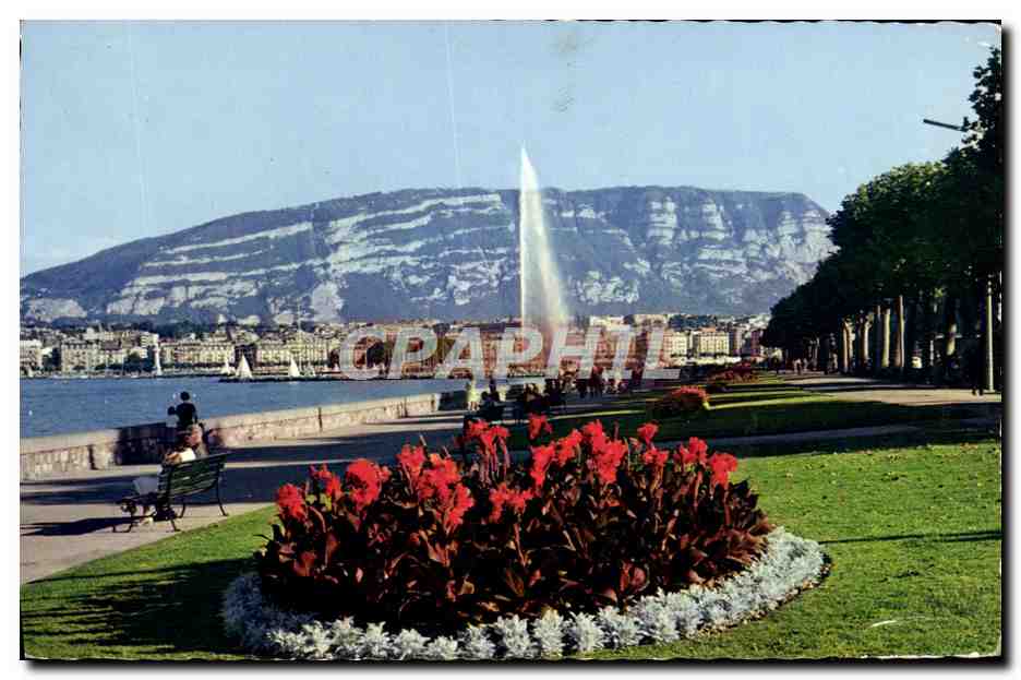 CPM Geneve Le Quai Wilson Et Le Jet d'Eau