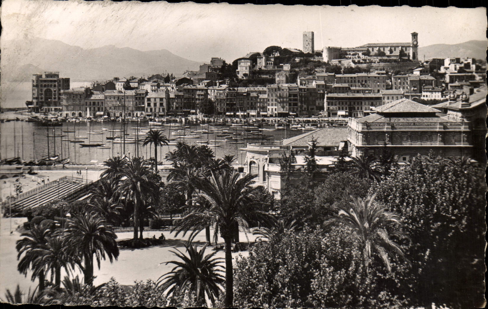 CPM Cannes Le Port Et Le Mont Chavelier