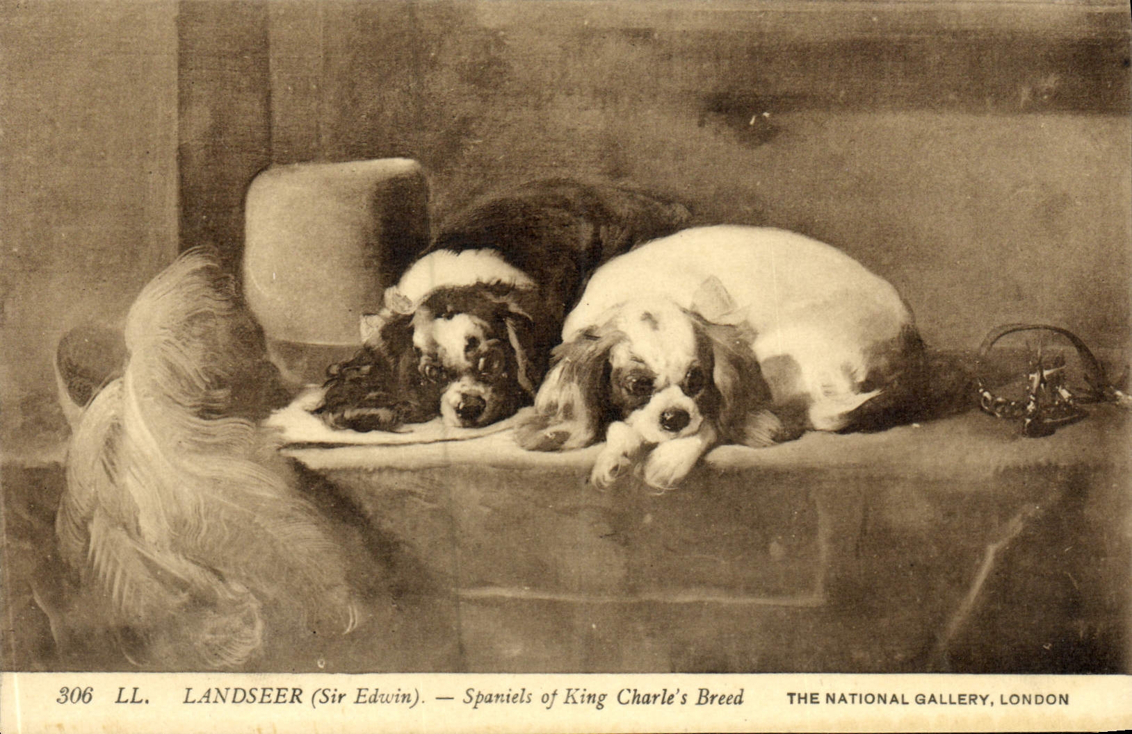 CPA Landseer Spaniels Of King Charle's Breed The National Gallery London Chiens 