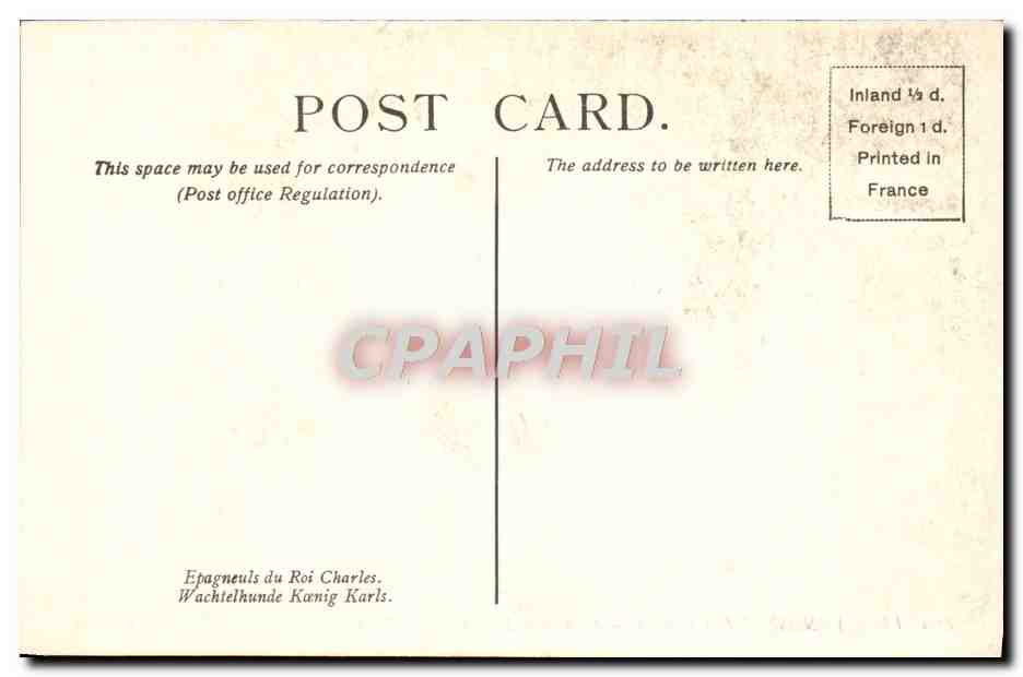 CPA Landseer Spaniels Of King Charle's Breed The National Gallery London Chiens  — Rückseite
