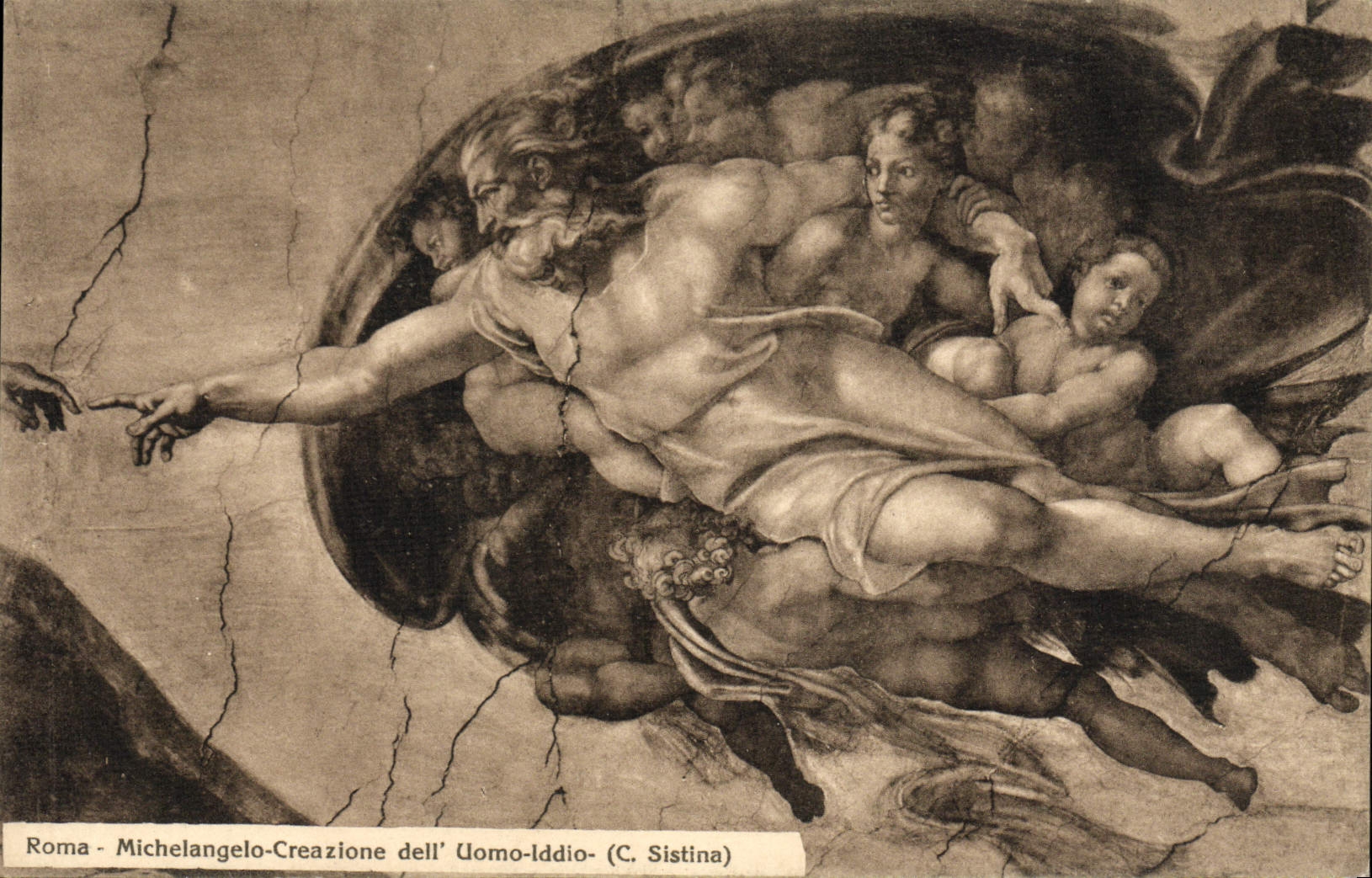 Roma - Michelangelo - Création de l'Homme - (C. Sistina)