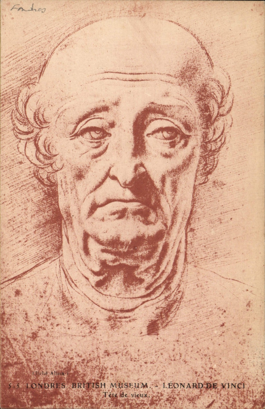 CPA Londres British Museum Leonard De Vinci Tete de vieux