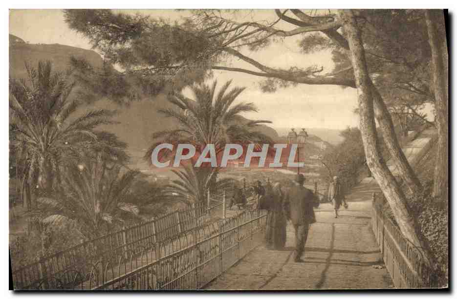 CPA Oran La Promenade De l'Etang