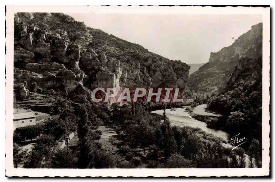 CPA Les Gorges Du Tarn Cirque Des Baumes