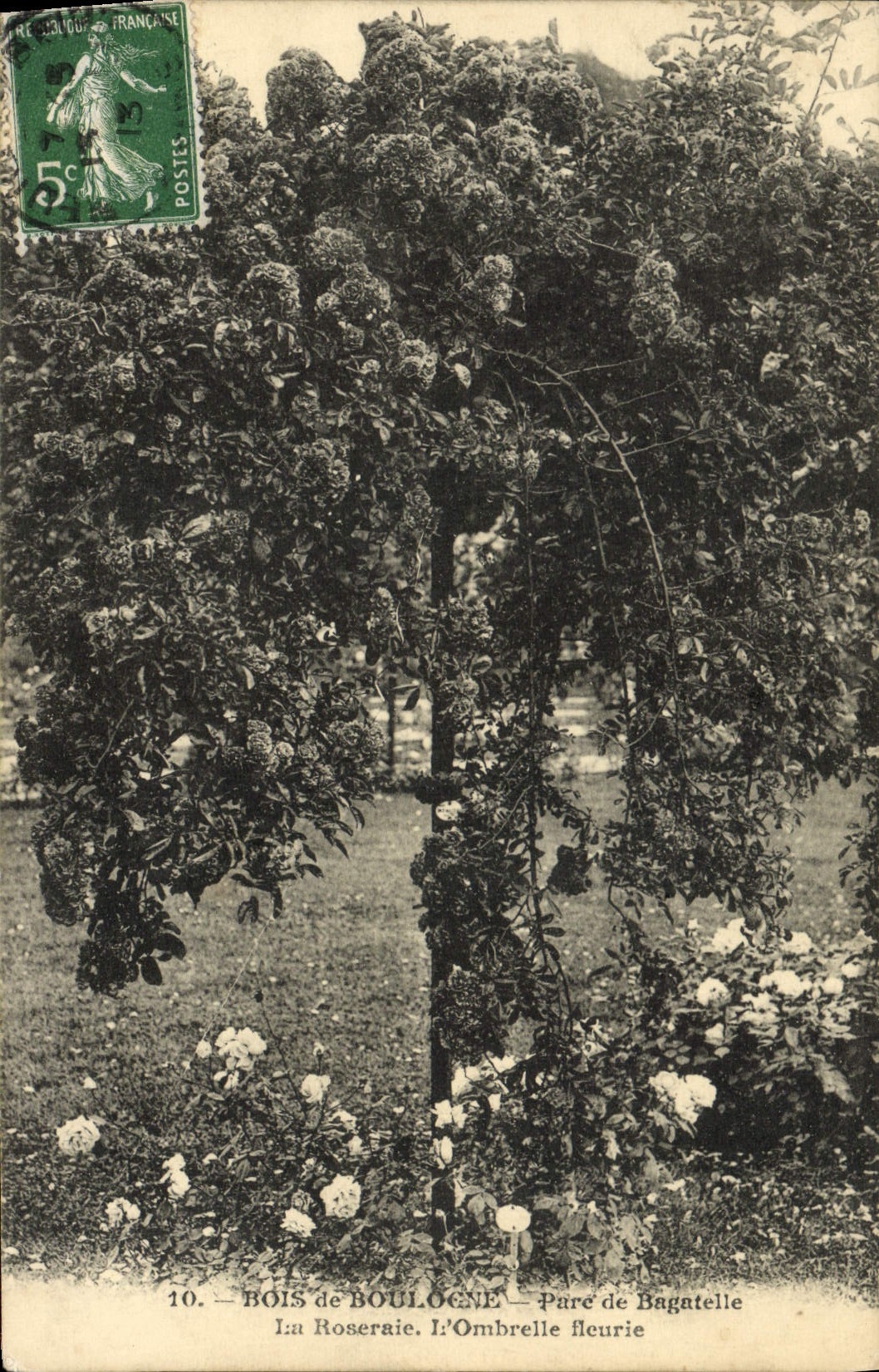 Bois de Boulogne — La Roseraie. L'Ombrelle fleurie — Éditeur non visible, n° de série 10