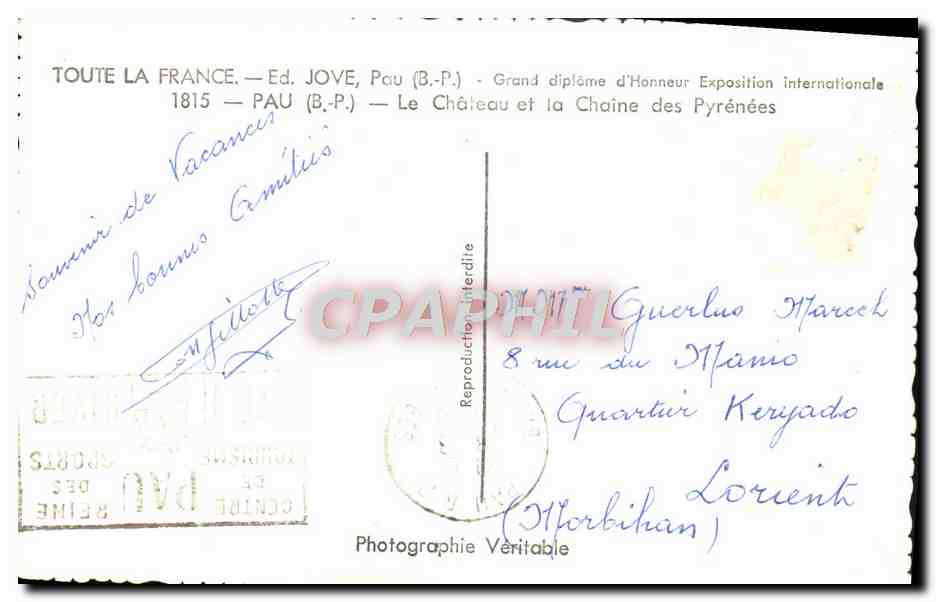 CPM Pau Le Chateau et la Chaine des Pyrenees — Verso