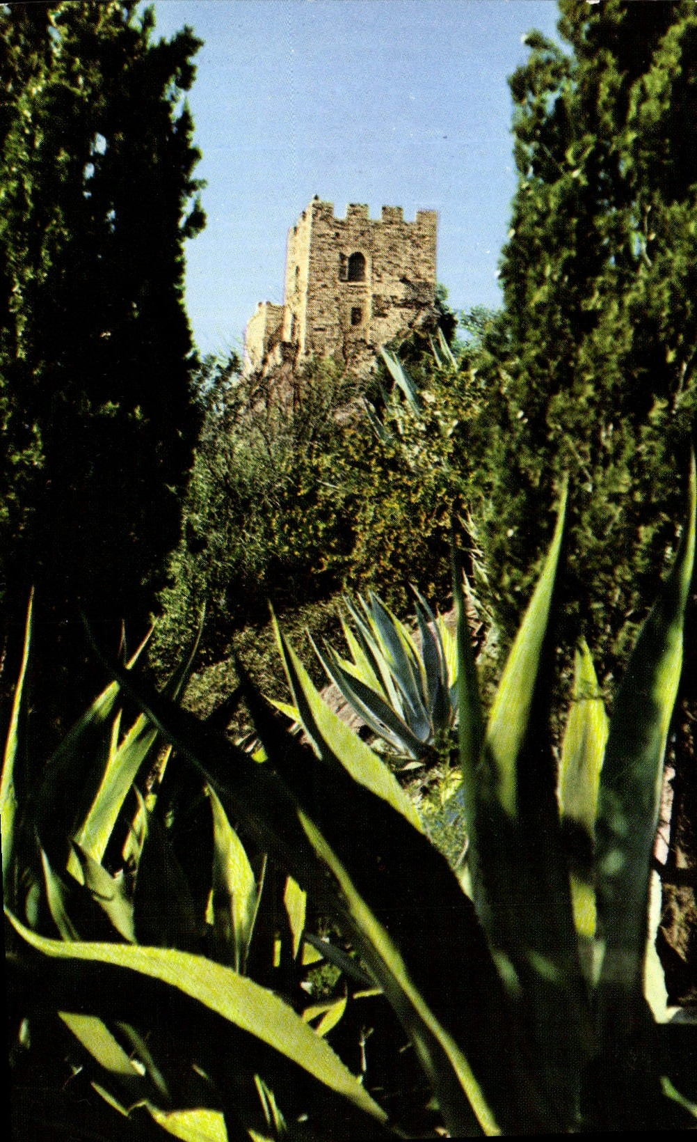 CPM La Cote D'Azur Varoise Hyeres Les Palmiers Le Chateau Sainte Claire