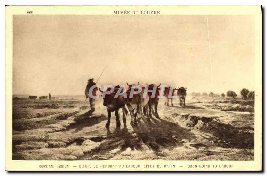 CPA Musee Du Luxembourg Constant Troyon Boeufs se rendant au labour Effet du amtin