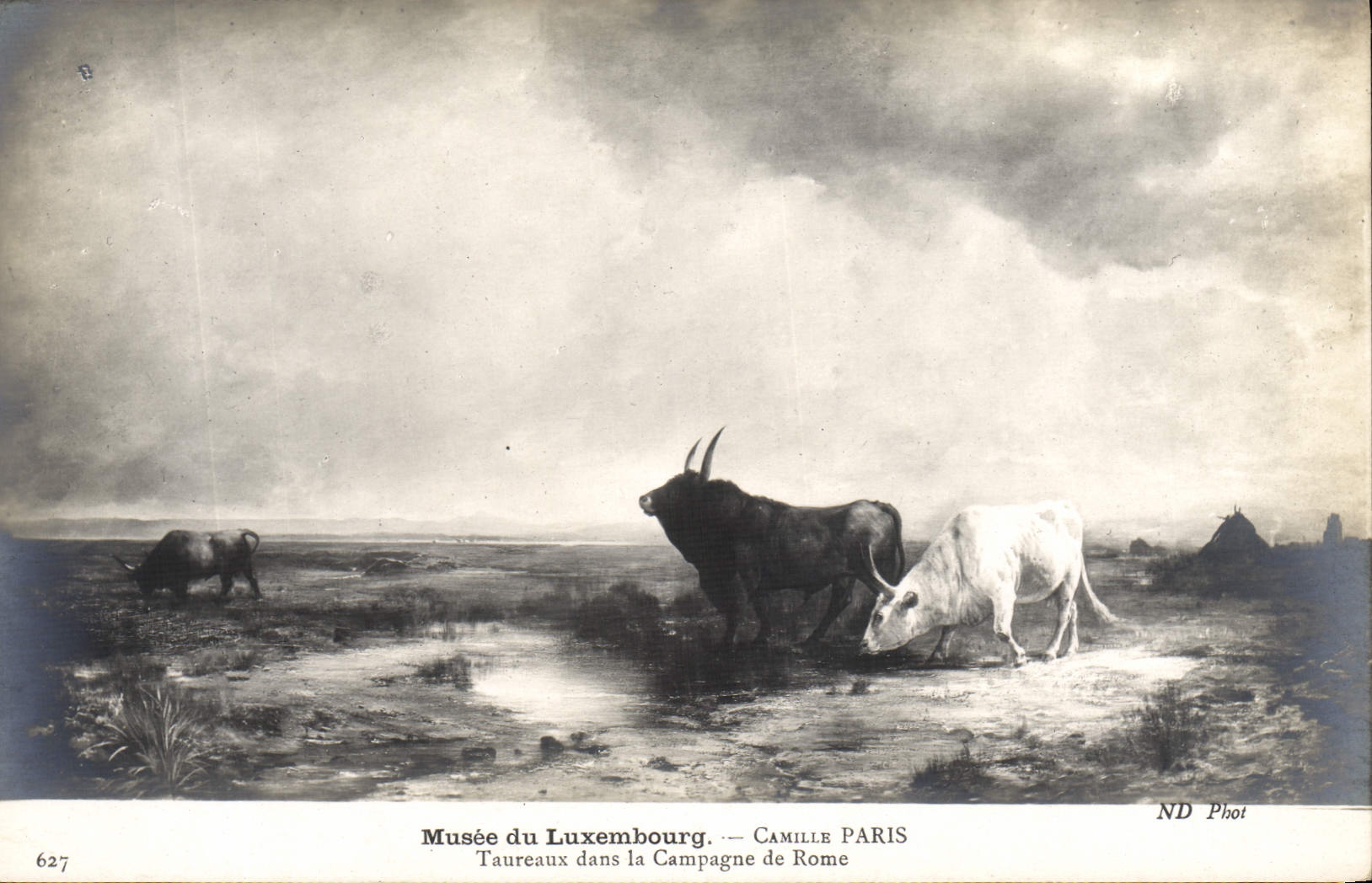 CPA Musee Du Luxembourg Camille Paris Taureaux dans la campagne de Rome Vaches