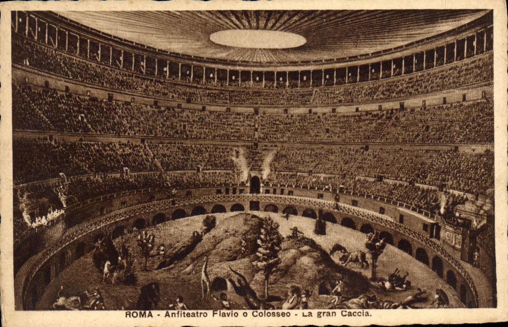 CPA Roma Anfiteatro Fiavio O Colosseo La Gran Caccia Gladiateurs Giraffe