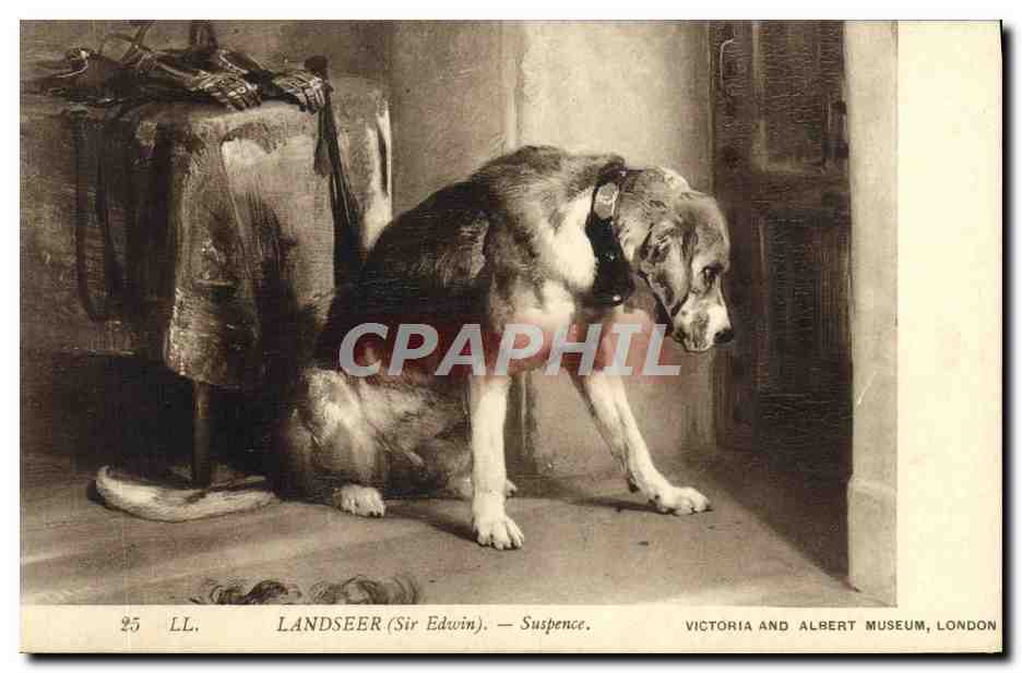 CPA Landseer Victoria Suspence Chien Victoria and Albert Museum London 