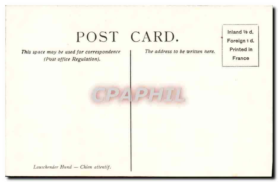 CPA Landseer Victoria Suspence Chien Victoria and Albert Museum London  — Rückseite