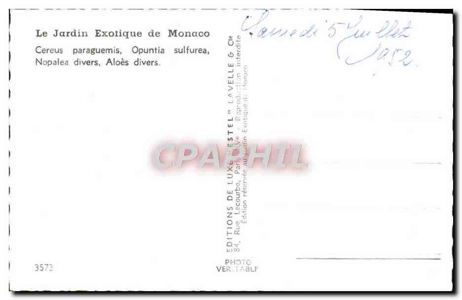 CPM Le Jardin Exotique de Monaco Cereus paraguemis Opunti sulfurea — Rückseite