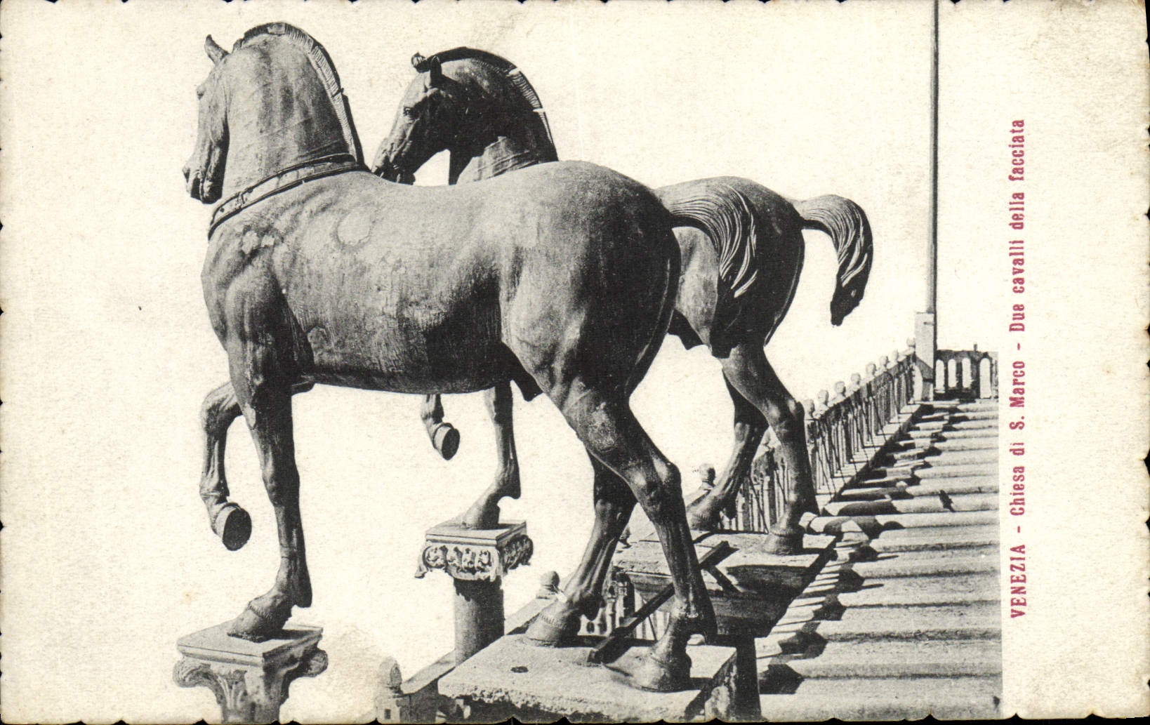 CPA Venezia Chiesa di Marco Due Cavaill della Facciata Chevaux 