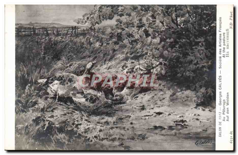 CPA Salon 1913 Georges Calves Au Paturage Oies