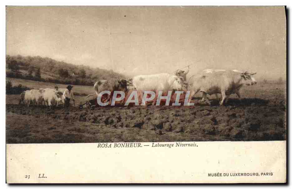 CPA Rosa Bonheur Labourage Nivernais Musee Du Luxembourg Paris Boeufs