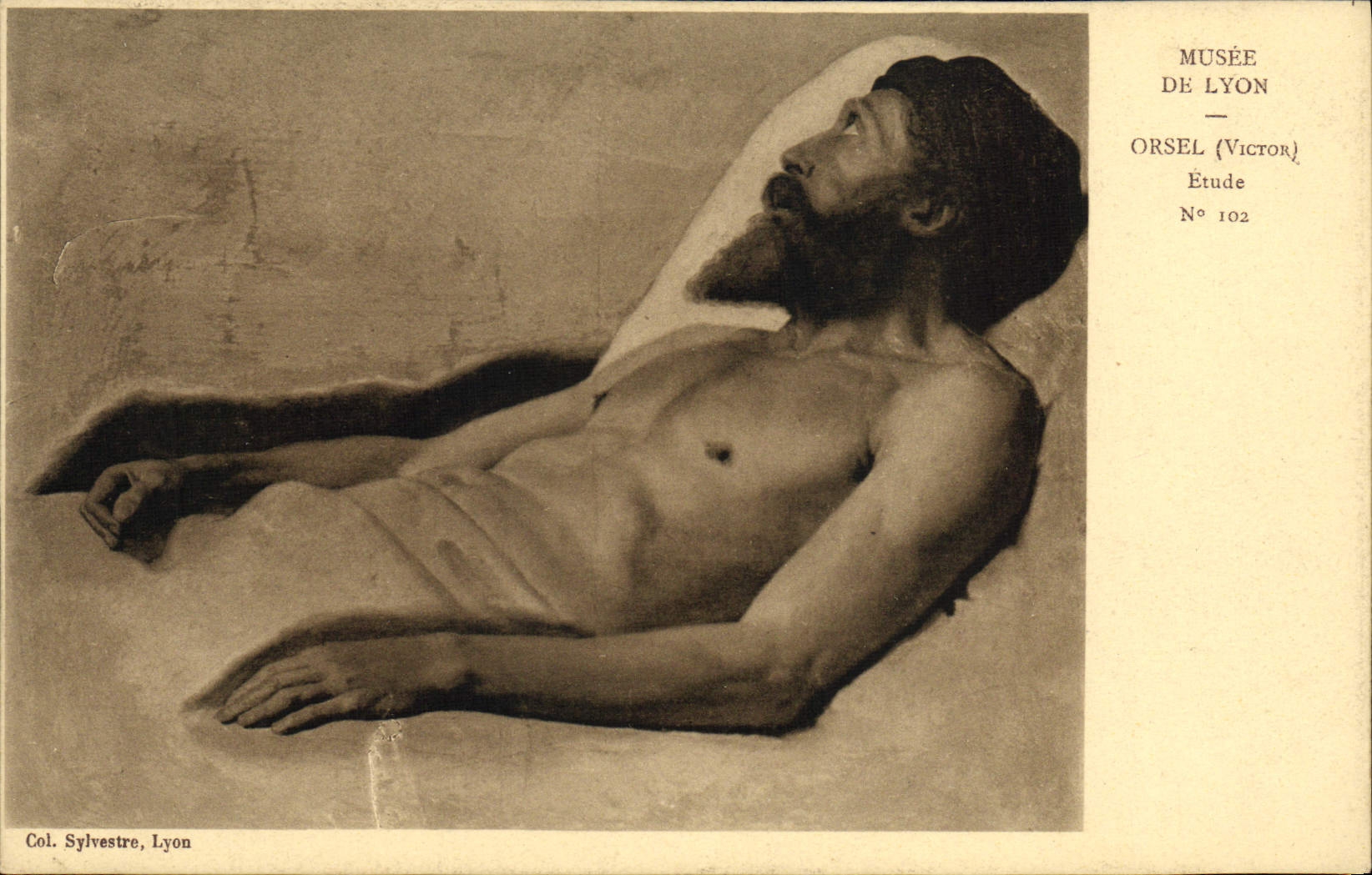 CPA Musee De Lyon Orsel Etude
