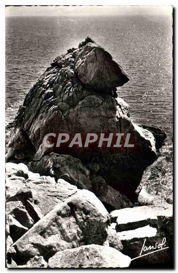 CPA La Cote d'Amour Le Croisic La Grande Cote L'Ours Polaire