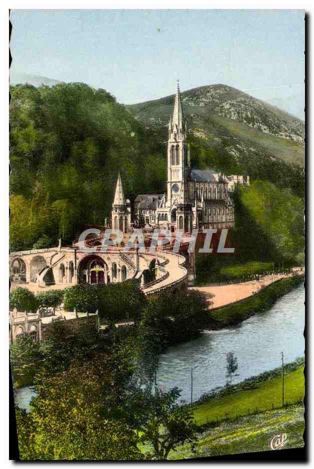 CPM Lourdes La Basilique Et Le Gave