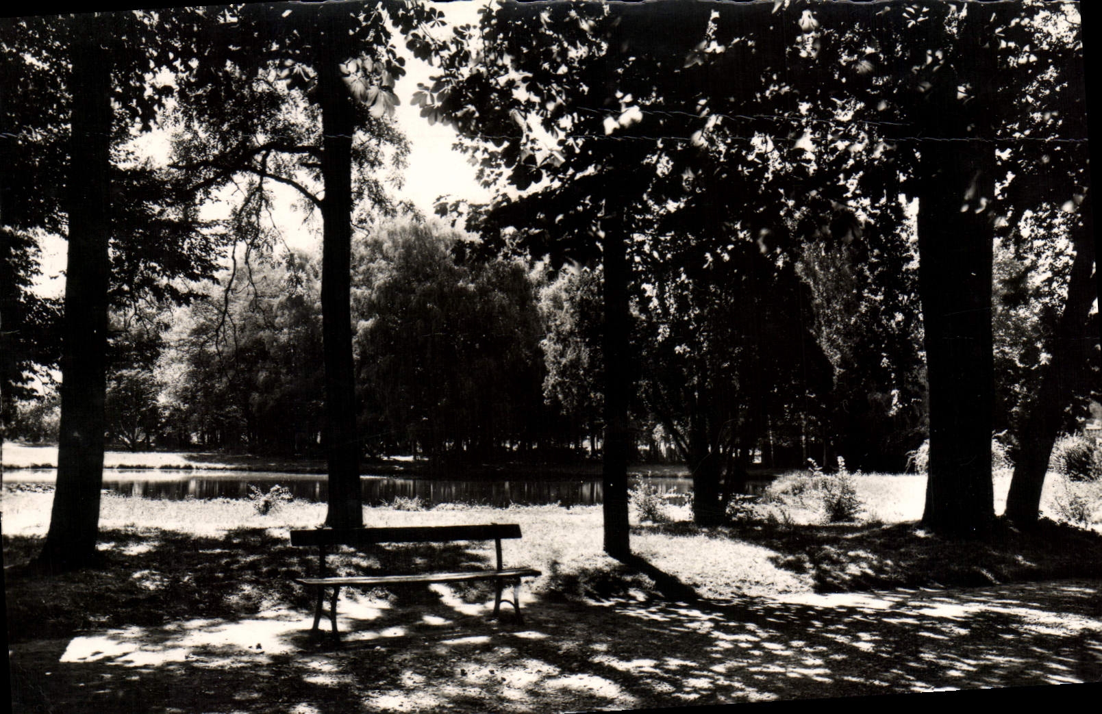Lons-le-Saunier (Jura) — Un coin du Parc — Édition et Photo L. Protet, Jura
