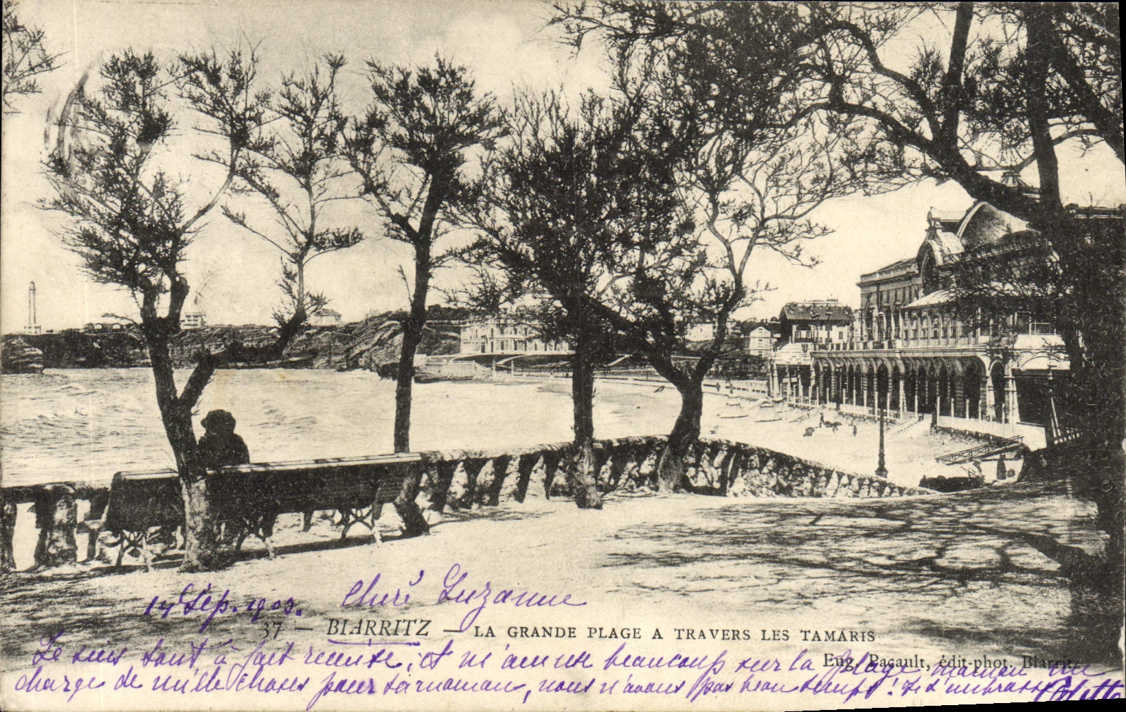 CPA Biarritz La Grande Plage A Travers Les Tamaris