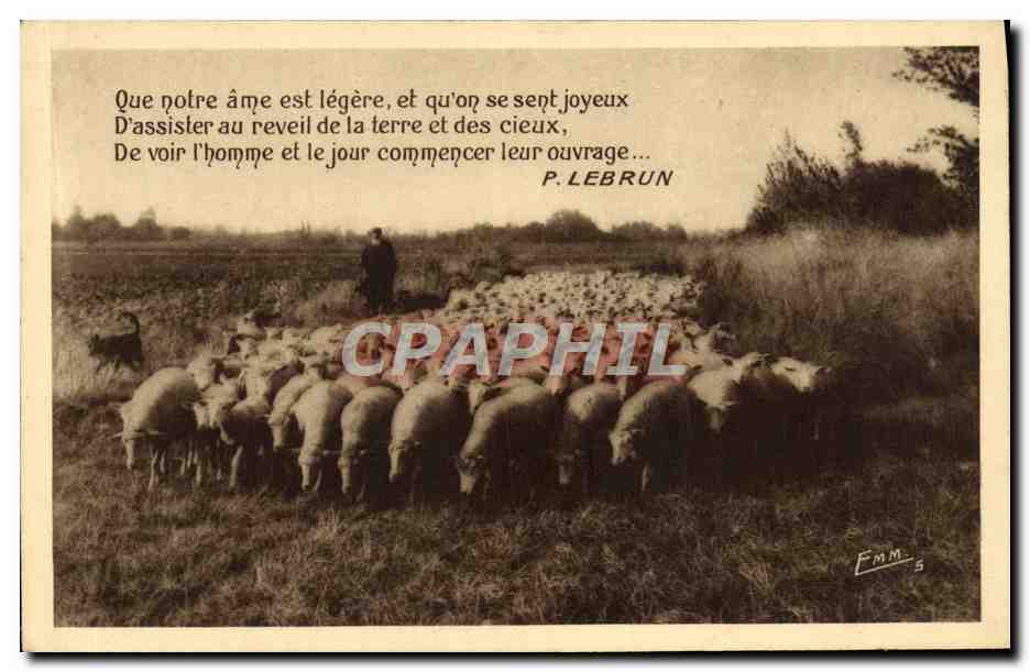 CPA Que Notre Ame Est Iegere Et Qu'on Se Sent Joyeux Berger Moutons 