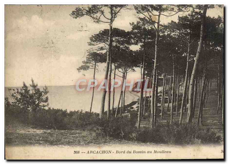 Arcachon — Bord du Bassin au Moulleau — M. 368