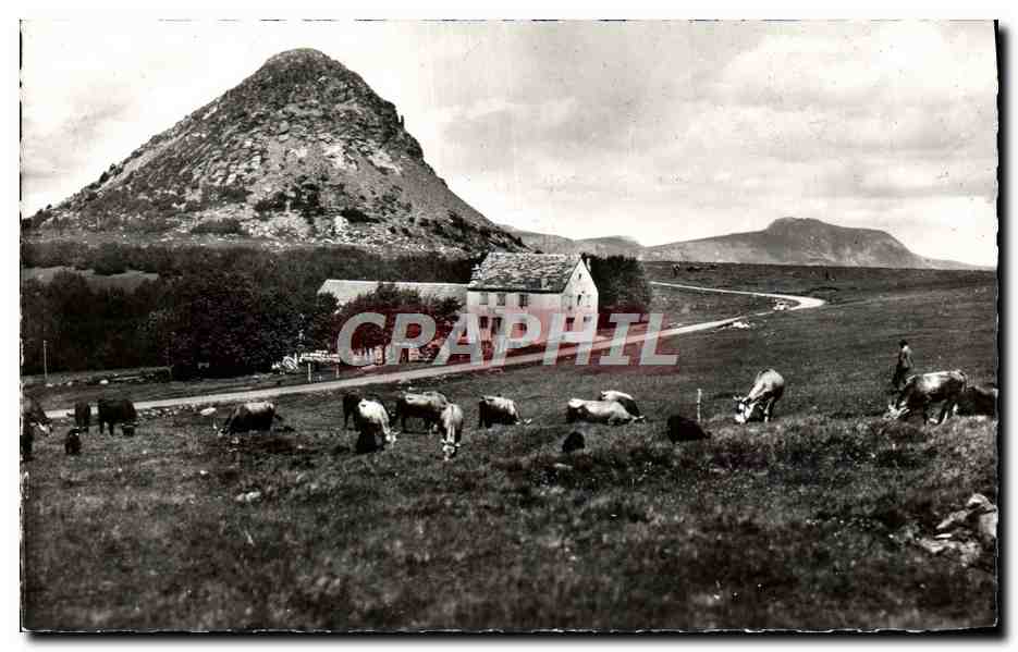 Mont Gerbier de Joncs — Vue avec vaches et maison — Les Éditions de l'Économie, Bron