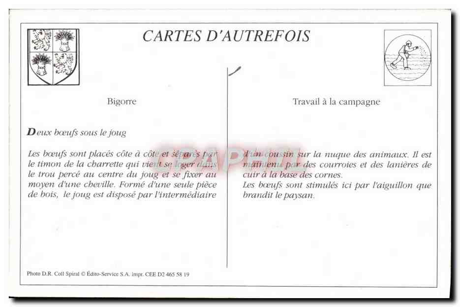REPRO Lourdes Attelage Pyreneen Boeufs Vaches — Verso