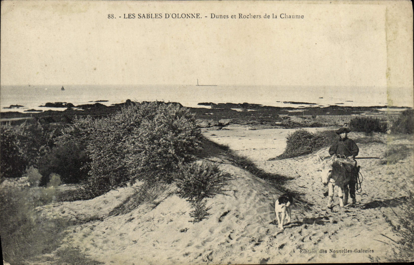 CPA Les Sables D'Olonne Dunes et Rochers de la Chaume Enfant sur son ane Chien 